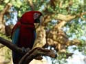 DSC00105