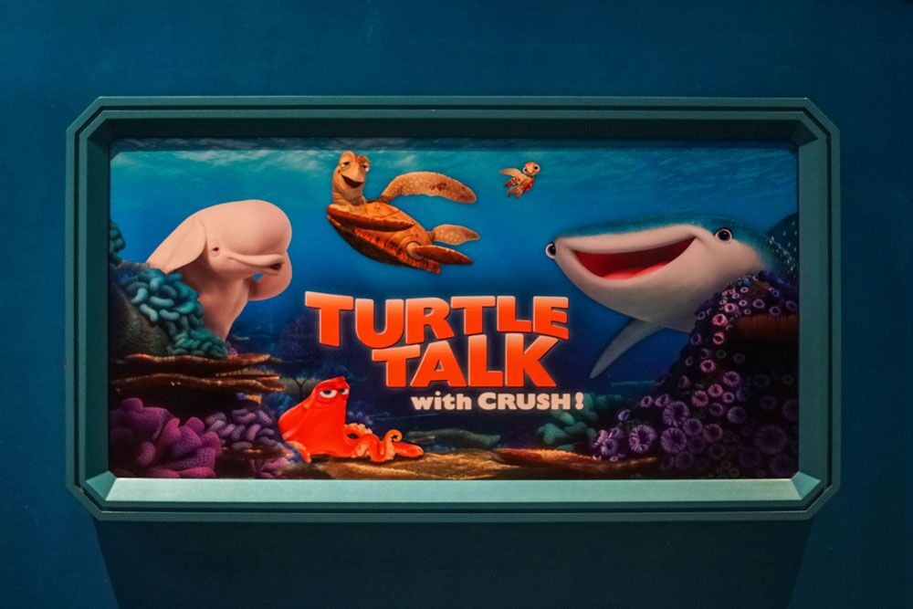 Turtle Talk with Crush