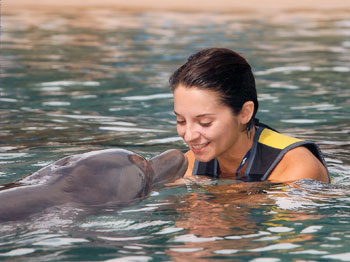 Julie Swimming with Dolphins at discovery Cove orlando