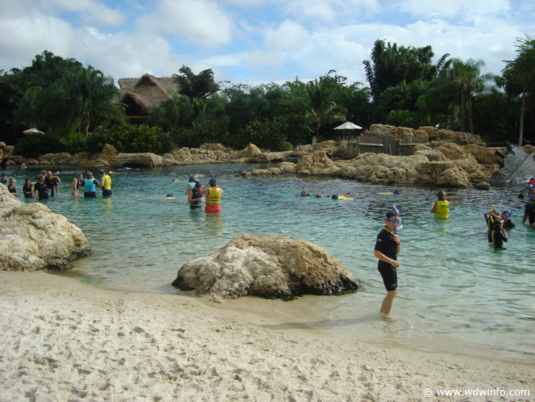 Coral-Reef-03