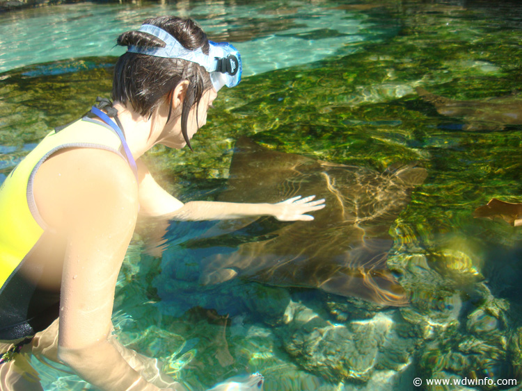 Ray-Lagoon-DSC02110