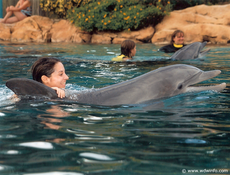 Dolphin-Encounter-02Julie