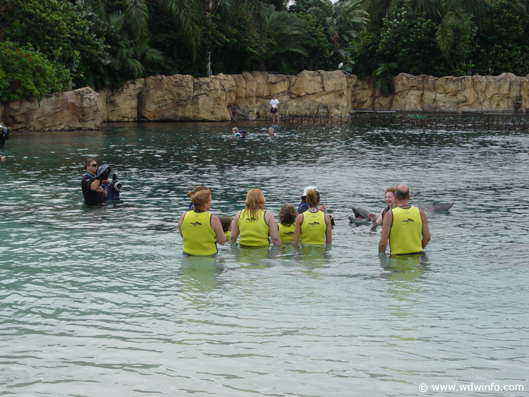 Dolphin-Encounter-DSC02574