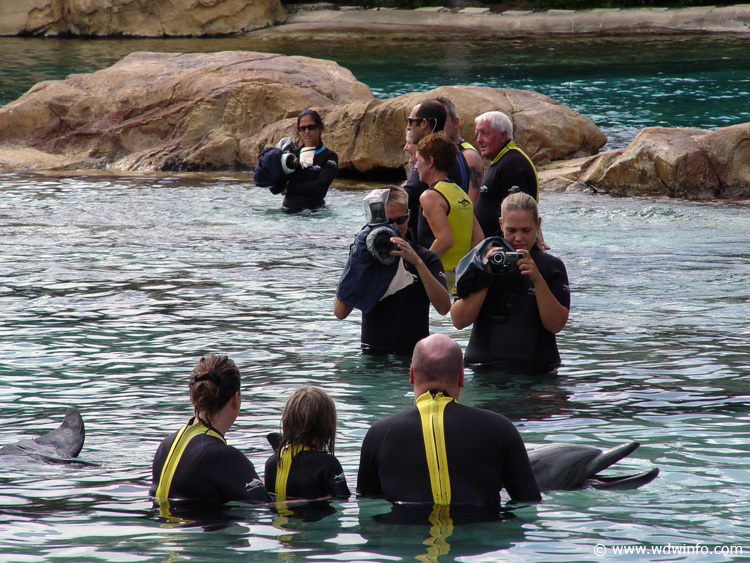 Dolphin-Encounter-DSC02593