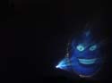 Fantasmic DSC00120