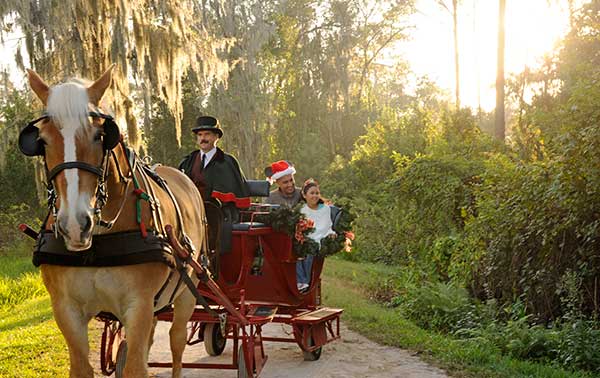 Holiday Sleigh Rides Disney's Fort Wilderness Resort and Campground