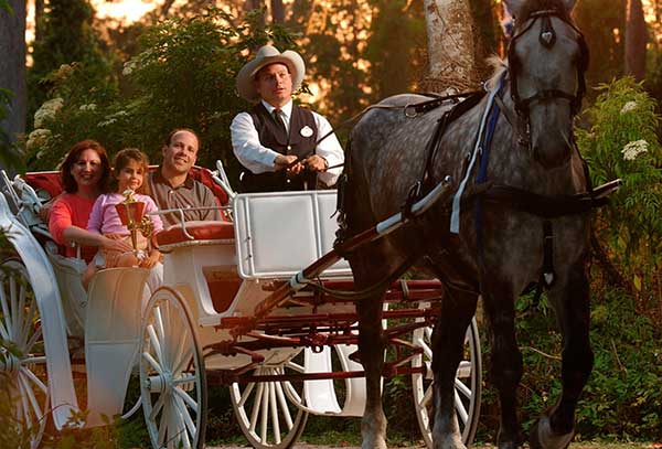 Disney World Carriage Rides