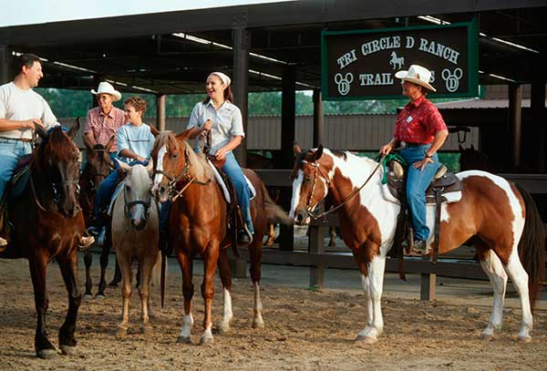 Walt Disney World Resort® Horse-Drawn Excursions