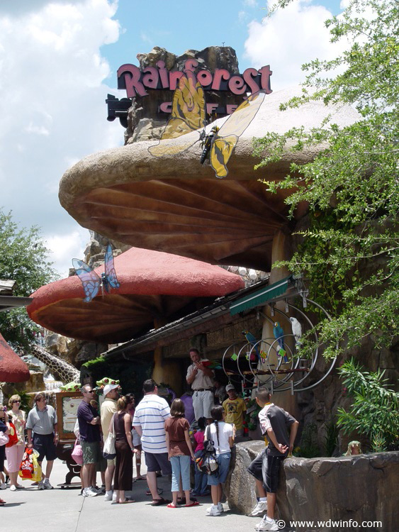 DD-marketplace_Rainforest-Cafe3