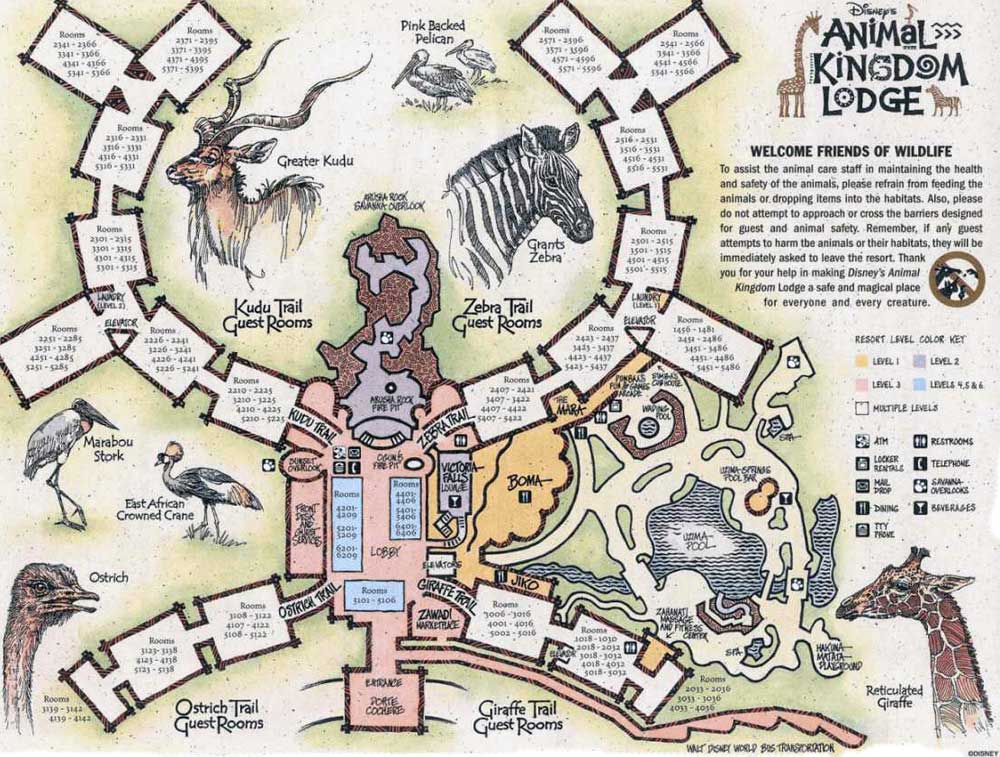 Disney's Animal Kingdom Lodge Map  