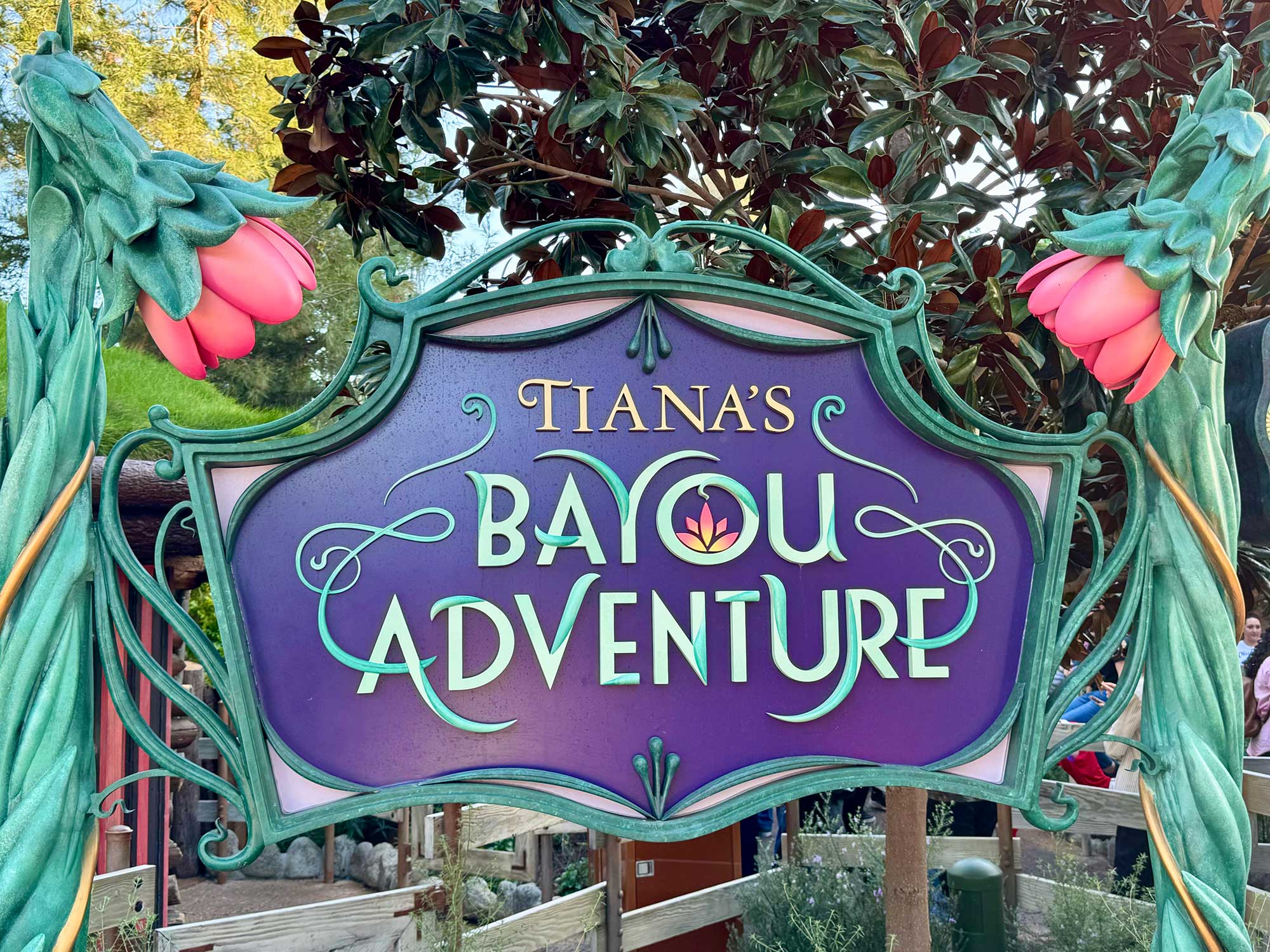 Tiana's Bayou Adventure Disneyland